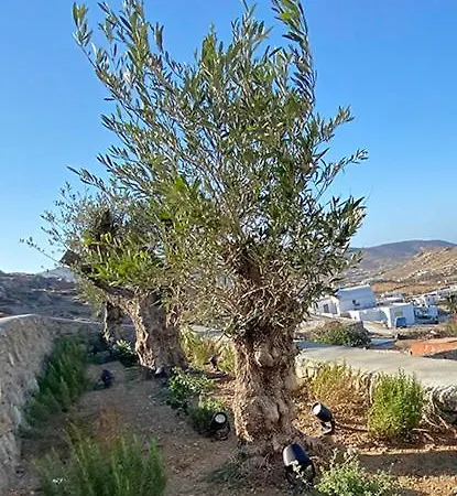 ゲストハウス Villaggio Mykonos カロ・リヴァディ