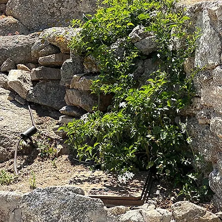 Gasthuis Charma Mykonos 3*