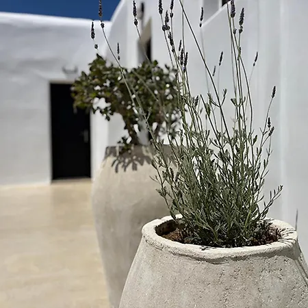 بيت ضيافة Charma Mykonos