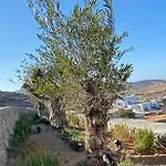 Πανσιόν Villaggio Mykonos Καλό Λιβάδι